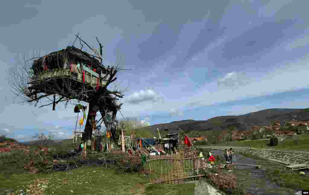 The treehouse of Panta Petrovic, 65, in the suburbs of the southeastern Serbian town of Pirot. Around 10 years ago, Perovic decided to leave his family home in Pirot and move to the suburbs, where he built his treehouse. He lives on a small pension from his work years in France as a mechanical technician on cargo ships. He keeps goats, cats, chicken, and even a wild boar on his farm. (epa/Djordje Savic)