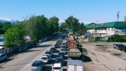 Очередь из автомобилей на подъезде к Алматы. 11 мая 2020 года.