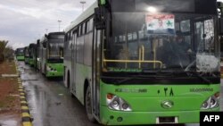 Эвакуация үчүн Алеппонун чыгышына келген автобустар.