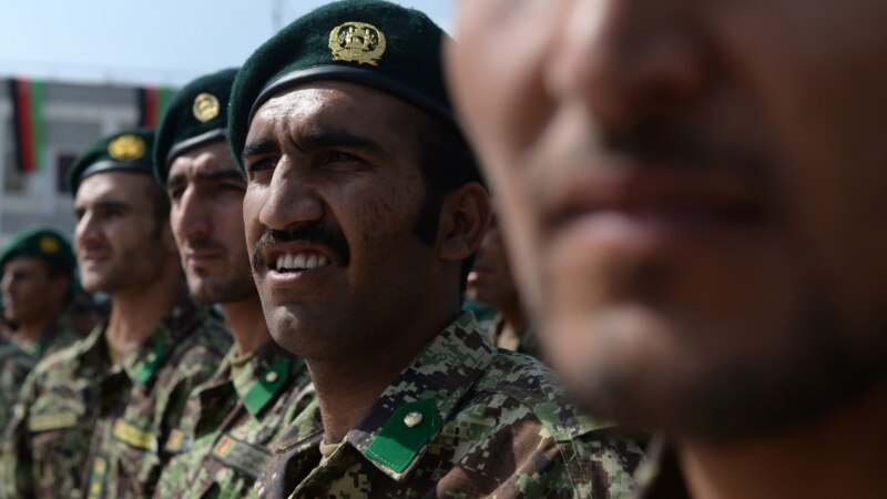 محب: د زیات شمېر امریکایي سرتېرو وتل به افغان ځواکونه تر فشار لاندې راولي