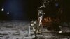 تصویری از اِدوین آلدرین جونیور (معروف به باز آلدرین)، خلبان ماه‌نشین، بر روی ماه