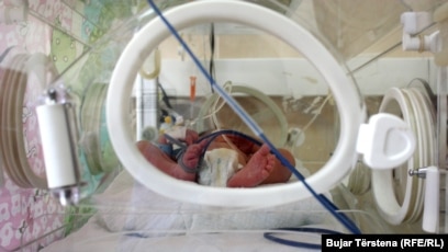 Желіде жыландармен жыныстық қатынас