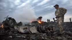 Место падения сбитого на Донбассе самолета рейса MH17, 17 июля 2014 года