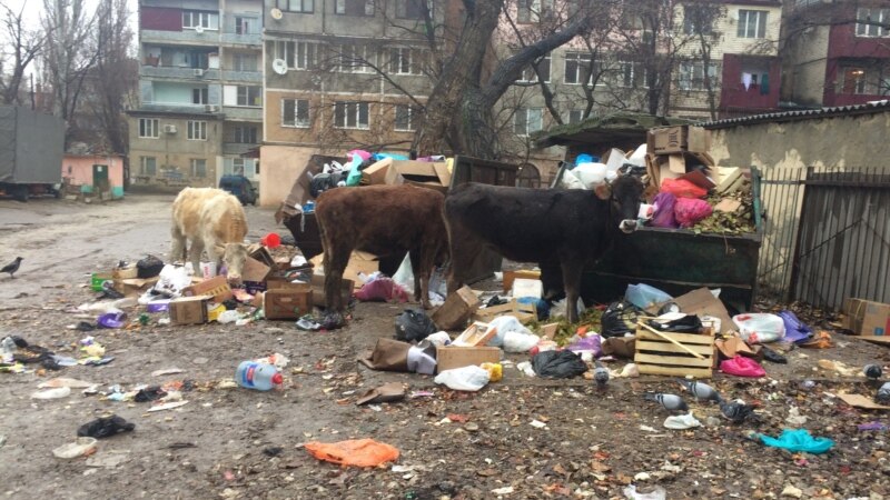 Дагестан, Ингушетия, Северная Осетия и Кабардино-Балкария попали в список регионов, где возможен мусорный коллапс