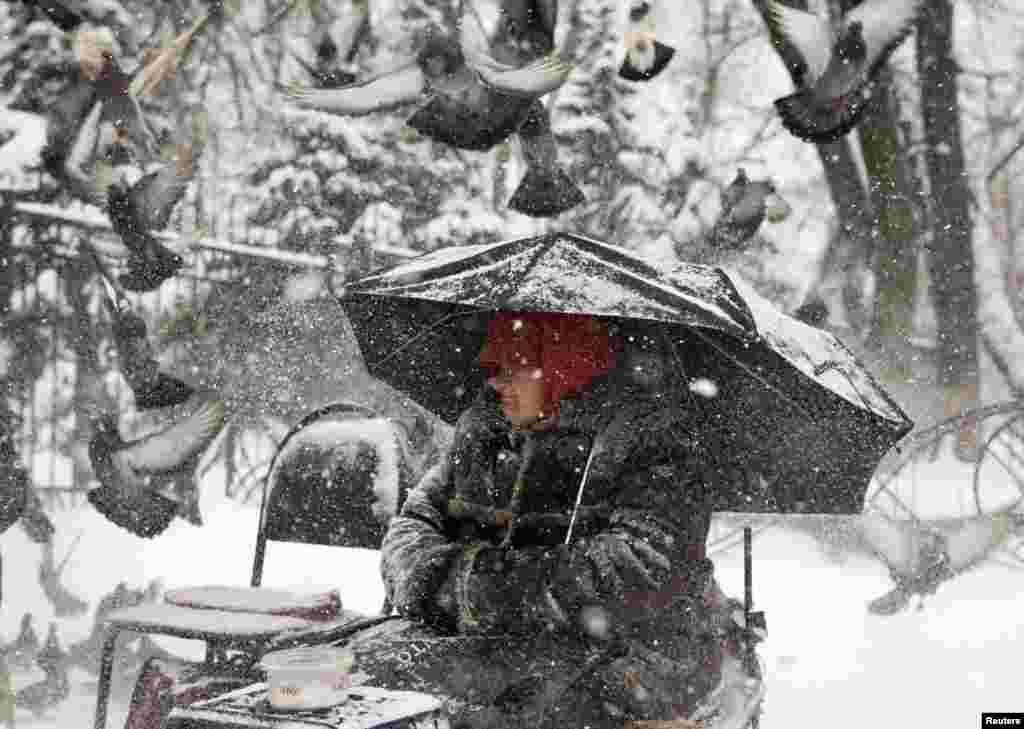 Pigeons fly past a woman begging as it snows in Almaty, Kazakhstan. (Reuters/Shamil Zhumatov)