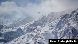 جستوجو برای یافتن پیکر جانباختگان؛ ۱ اسفند ۱۳۹۶
