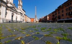 A crescut iarba pe caldarâm în Piazza Navona, una dintre cele mai circulate locuri ale Romei, unde se află Fântâna celor patru fluvii, de Bernini