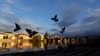 CZECH REPUBLIC -- Birds fly over the Vltava river bank near Charles Bridge amid an outbreak of the coronavirus disease (COVID-19) in Prague, April 29, 2020
