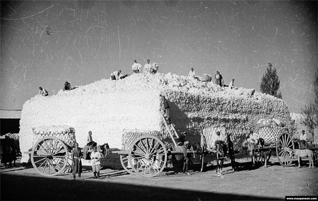 A stockpile of newly picked cotton.