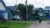 Стаи псов держат в страхе село под Казанью