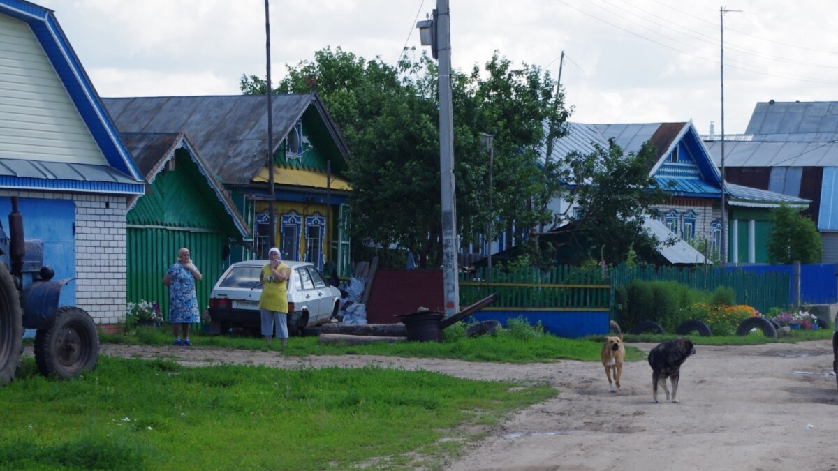 Стаи псов держат в страхе село под Казанью