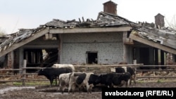 Фэрма ў вёсцы Дворышча Хойніцкага раёну Гомельскай вобласьці. Ілюстрацыйнае фота