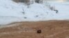 Дорога в Иркутской области, посыпанная песком с человеческими останками