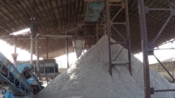 Fermerlər satdıqları pambığın pullarını ala bilmirlər