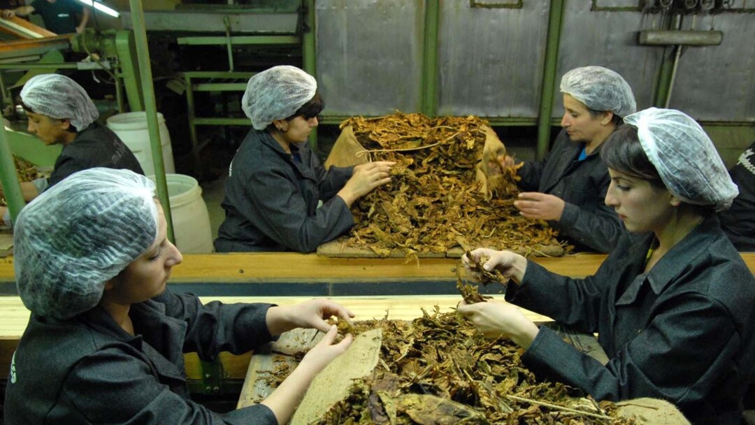 grand tobacco armenia Cigarette Classic Ultima Slims 20 pieces, cigarette Grand Tobacco Classic Ultima Slims 20 pieces Tobacco Firm Remains Armenia's Top