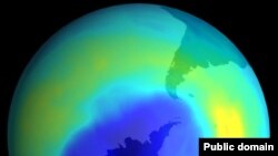 Синим цветом на спутниковом снимке помечен очень тонкий озоновый слой над Антарктидой. Wikipedia. NASA. 
