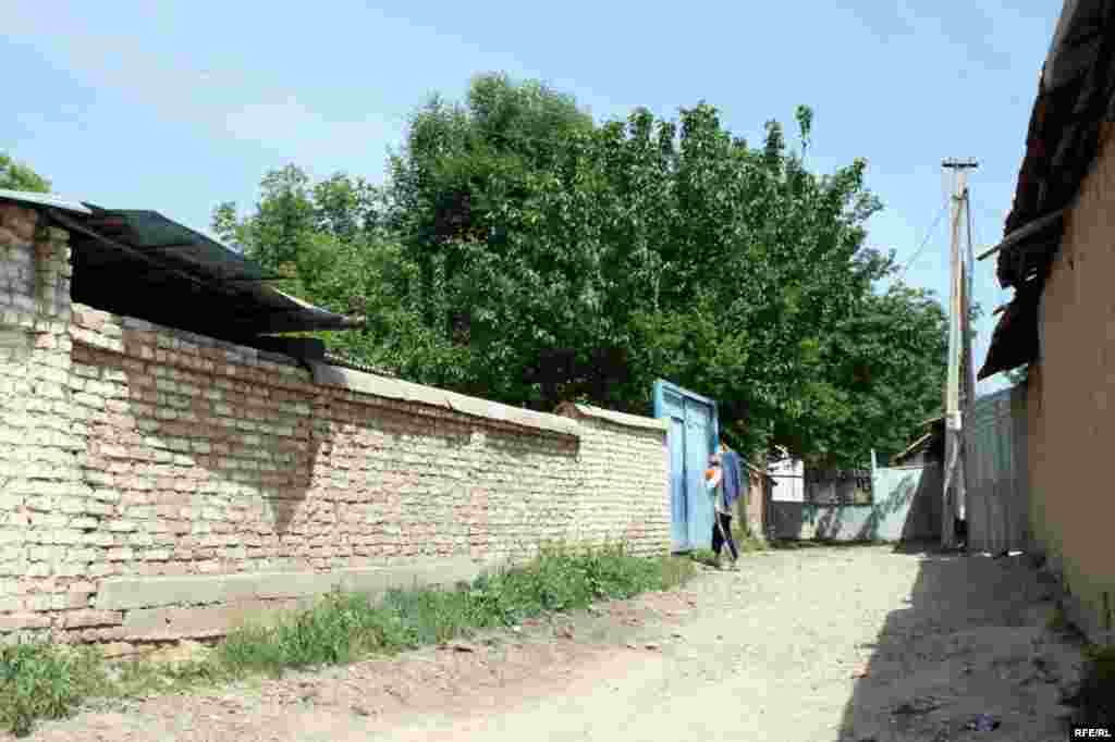 Бомпӯшиҳои рангини Душанбе #27