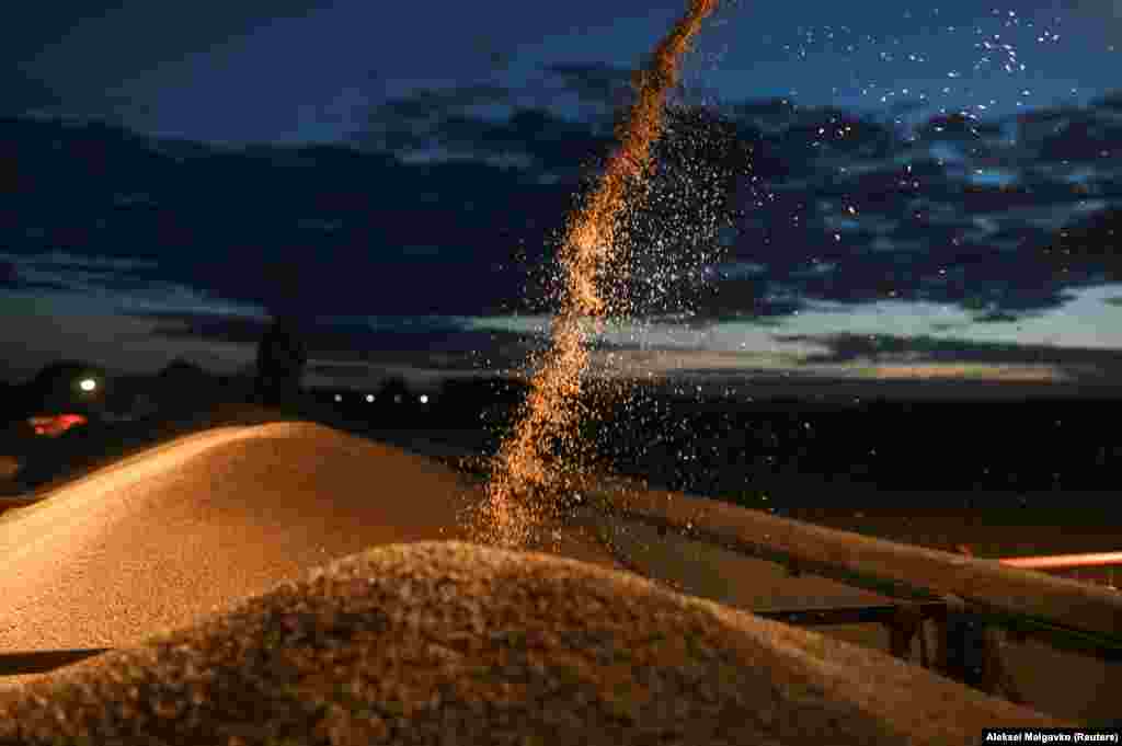 A combine harvester loads a truck with wheat during harvesting in Russia&#39;s Omsk region. (Reuters/Alexey Malgavko)