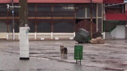 Зимний Крым: безлюдная Николаевка и разрушенная набережная (видео)