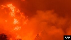 საილუსტრაციო ფოტო არქივიდან 