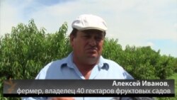 Фермер из Молдавии Алексей Иванов