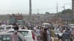 سږني اختر کې د څارویو بیې لوړې دي