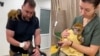 Video cover - Leonid and Valentina Stoyanov, veterinarians from Odesa