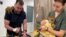 Video cover - Leonid and Valentina Stoyanov, veterinarians from Odesa