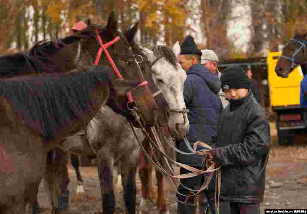 Самые дорогие - лошади. Стоимость зависит от возраста и породы, минимальная - около 60 тысяч сомов, самая дорогая на этом рынке - примерно 200 тысяч сомов.&nbsp; &nbsp;