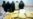 Iranian Deputies Push To Abolish Execution For Drug-Related Offenses