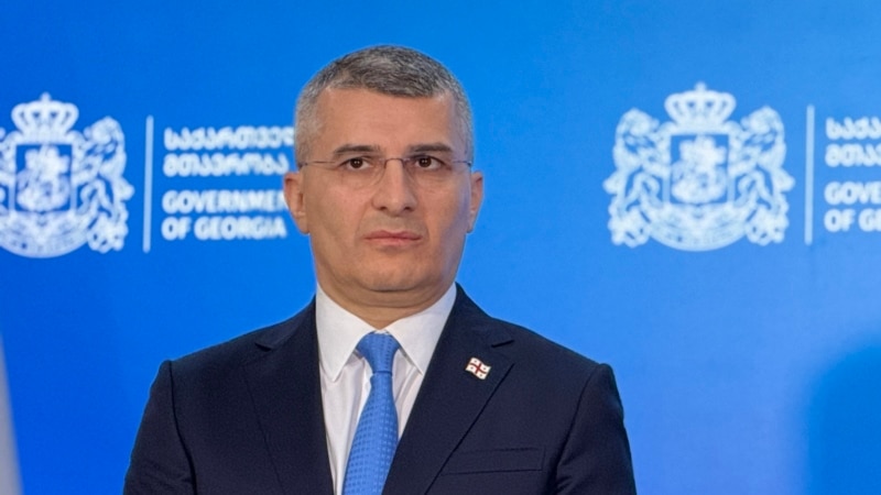 მდინარაძე სპეცრაზმელების დაკავებაზე: "როგორც ჩანს... ეს იყო კერძო ინიციატივები და ცალკეული შემთხვევები"