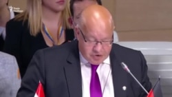 «Анексія Криму – наруга над верховенством права» – міністр економіки і енергетики Німеччини (відео)