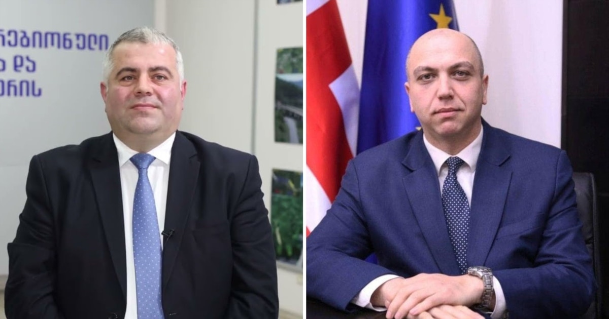 დააკავეს ინფრასტრუქტურის ექსმინისტრის მოადგილე, ქარსელაძის ქონება გაჩხრიკეს