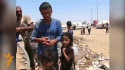 Иракские беженцы в Курдистане