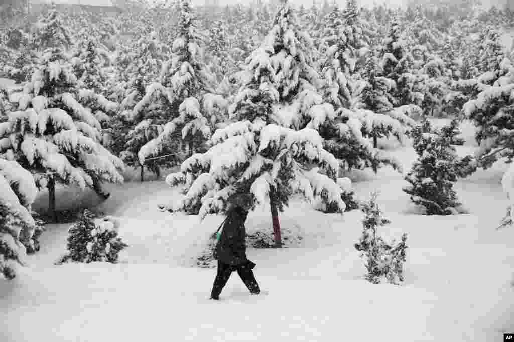 A boy walks near snow-covered trees in Kabul, Afghanistan.