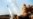U.S. Administration Confirms Iran Missile Test