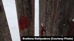 Кровь убитой собаки на заборе