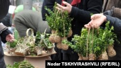 Праздник Входа Господня в Иерусалим православные христиане Грузии традиционно встречают с ветвями самшита в руках. Уличные торговцы выносят на продажу большие и маленькие букеты, декоративные корзинки с этим растением