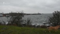 С украинским флагом: в порту Очакова встречают захваченные Россией корабли (видео)