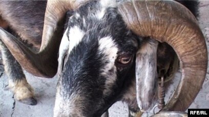 Екі сиқырлы Классикалық картиналар мен суреттердегі эротика және секс