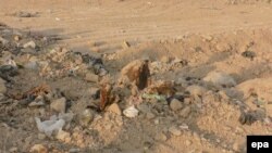 Человеческие останки на месте предполагаемого массового захоронения в Ираке.