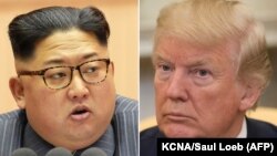 Presidenti amerikan, Donald Trump (djathtas) dhe lideri verikorean, Kim Jong Un (majtas), ilustrim.