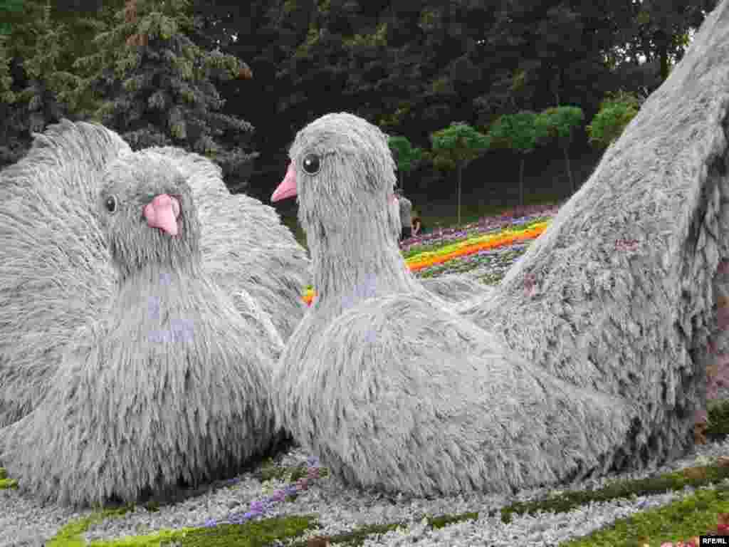 Київська міська виставка квітів - Київська міська виставка квітів 2008