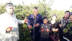"Туяқуш жанжали" жабрдийдалари акцияси, ўқитувчини калтаклаган зўравонлар, анорлари увол кетаётган боғбон