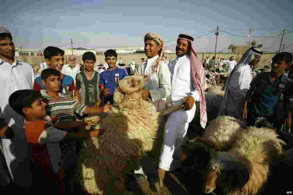 Гыйракның Нәҗәф шәһәрендә мөселманнар корбан сарыгы сатып ала
