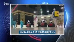 Макка цкъа а ца хилла оццул еса, Нохчийчоь цкъа а ца хилла бIаьрмециг