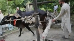 ارټ لاهم چلېږي خو ګڼو برخو نومونه یې په هېرېدو دي