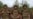 missing persons Kyrgyz war Ukraine