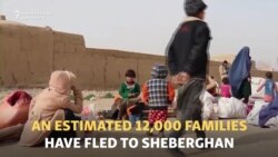 Twenty Families To A Room As Afghans Flee Fighting