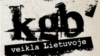 Десятки тисяч відвідувачів ринули на сайт www.kgbveikla.lt